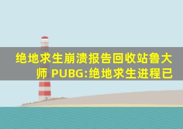 绝地求生崩溃报告回收站鲁大师 PUBG:绝地求生进程已